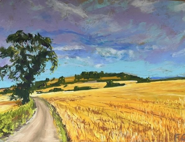 Oversley Hill in Summer