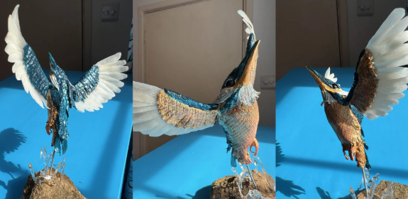 Kingfisher