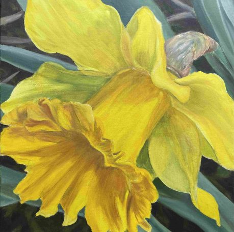 Daffodil